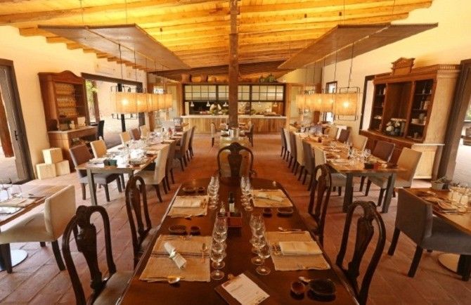 Visita a Bodegas en Lujn de Cuyo3 