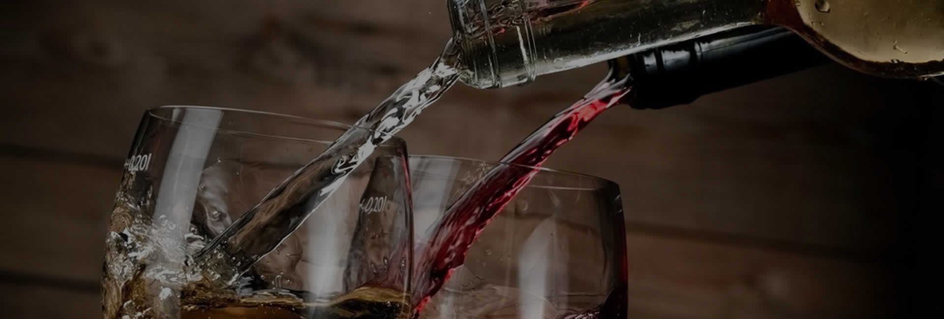 Deguste los mejores vinos