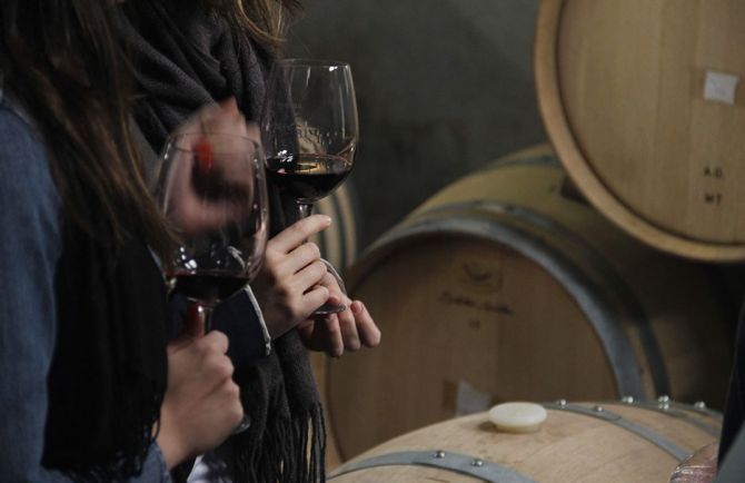 Bodegas en Valle de Uco4 