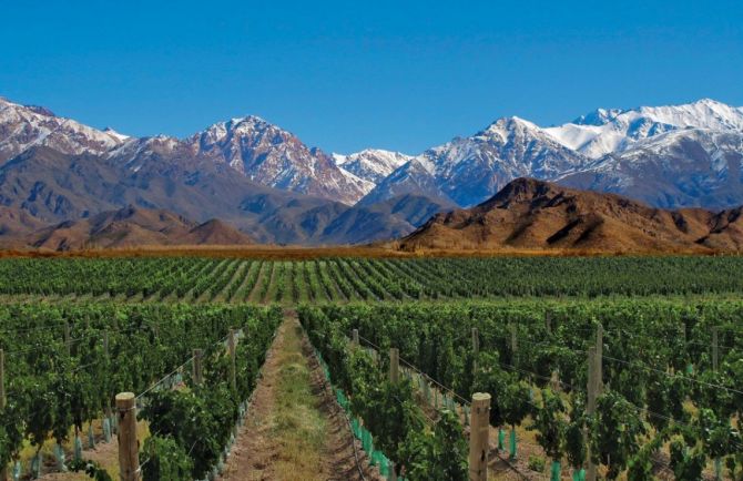 Bodegas en Valle de Uco1 