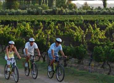 Bike por Bodegas y Viedos